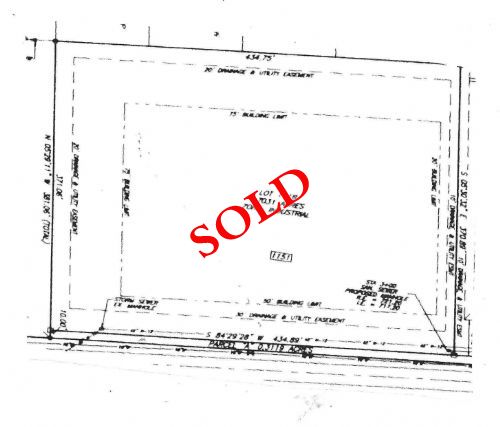 Lewis Auction